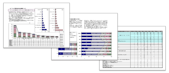 集計、分析、報告書作成